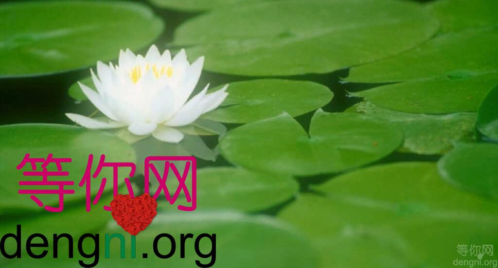 我国残疾人权利的保障