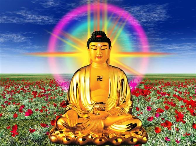 7899cca533d6a4cb9252ee63[2]