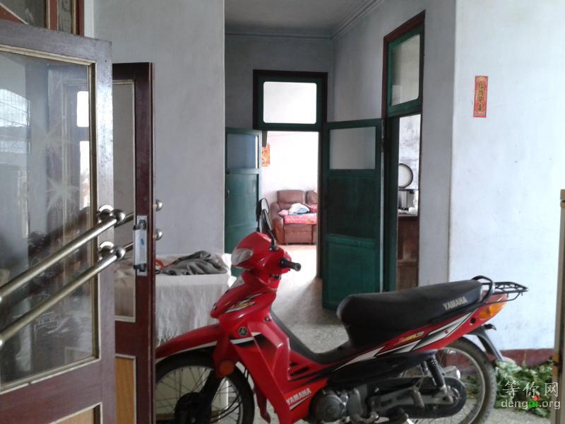 ���ڷ絲����Ƽ�