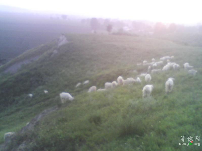 �ҵļ����ҵ���