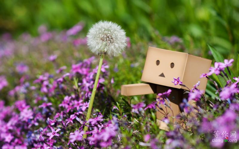 09ad997bdcb7945829388a0d