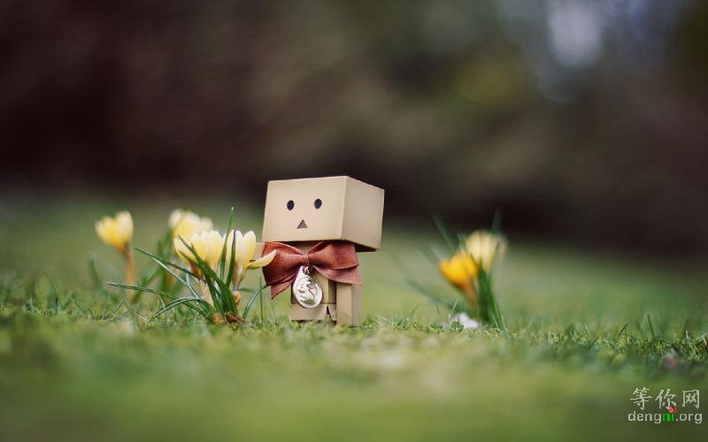 32450f31e96211dba71e120d