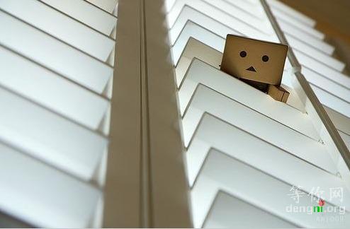 1008022132f293212dde77b431