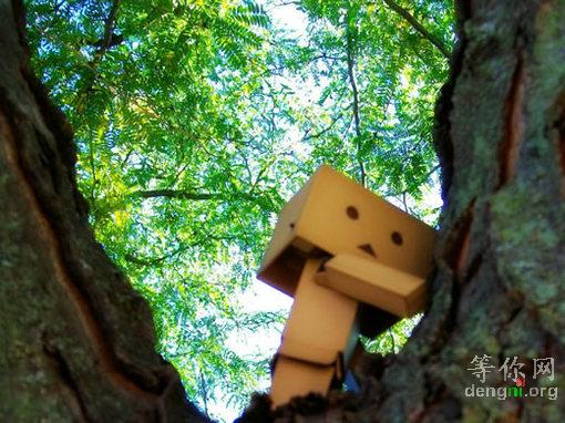 a155073c34d1dc92d4622536