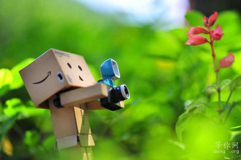 ab91d8c9d5be846bb700c827