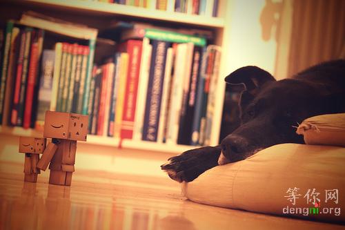 b04bd21f776720c1e1fe0b43