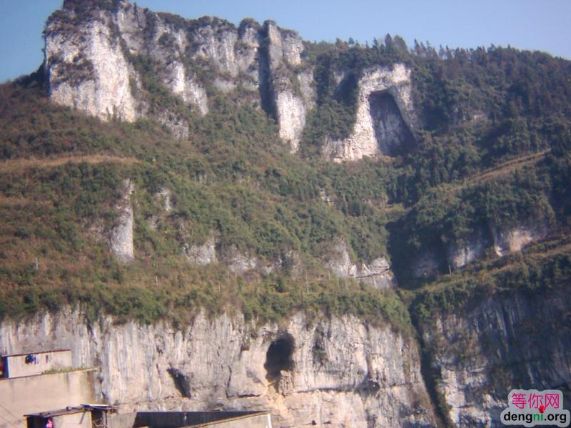 �ҵļ��硪���ƽ�