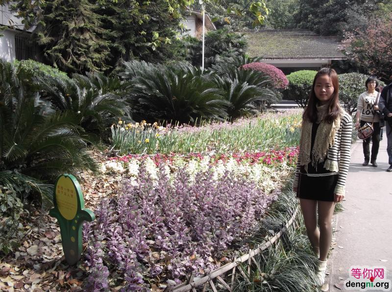 DSCF1908 - ����