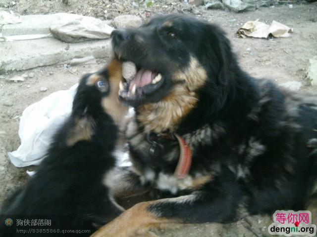 QXY735CATU23QCCA994S88CARL2APHCAE3D4GJCA5PVG0MCACAO8UGCAC7CQ6VCAE5LANACA401J8SCAP6UFFDCAWHR08SCAAQ4HWOCAJKFXBKCA4A0O9LCA8SN9BXCAAH9WL5CAKMS20DCAXJYGWM