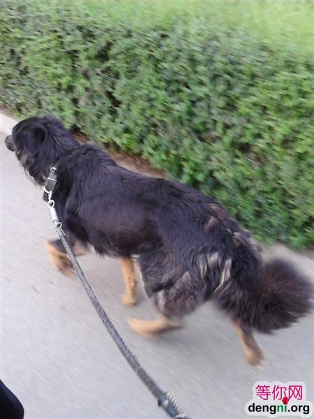 6DSI6GCATMKA5PCAJS6NCWCAUSZ1IECATZ4ZK8CAK3ML9XCAMN6E24CAUKXEBYCAOQGDXJCATZ4F1ZCAFDZ5PQCAXFR03BCAJL74ZWCAJDJBN2CAN2EK0FCAY5NAYOCAEIIEIJCAIEPG6KCAL9K7YE