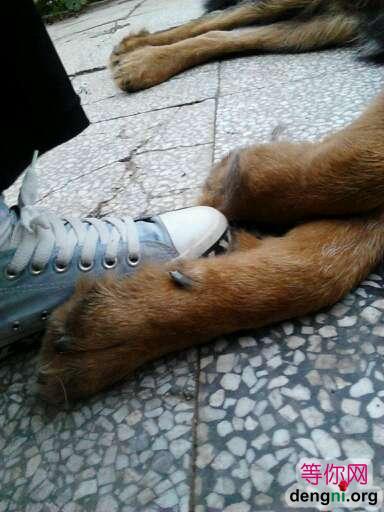 ESW7FUCA5GD4N1CAKB2VX0CA39P5JQCAOVV5LWCAYD0WRTCAC6SYAVCAS1I203CADFT7O8CAIEH6Z2CAQMIN77CAI3JUIYCAD0OYM5CA0XVK2ICA9S2CPECAFFLL42CADDEBPHCA7Z8CFTCAKRZ2PC