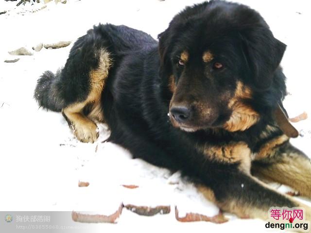 PC3FH2CAIYY5NSCA4PPHZRCA5N6OWKCAHRN8ANCAAA8ZNKCAGO877LCANHX751CAKN0BL6CA6XFCIYCAKUON77CAY69KSYCAJ8V71NCAF2BNSJCAD9TZS9CA4PYCARCA9GT74RCA8N375CCA0Y2OYX