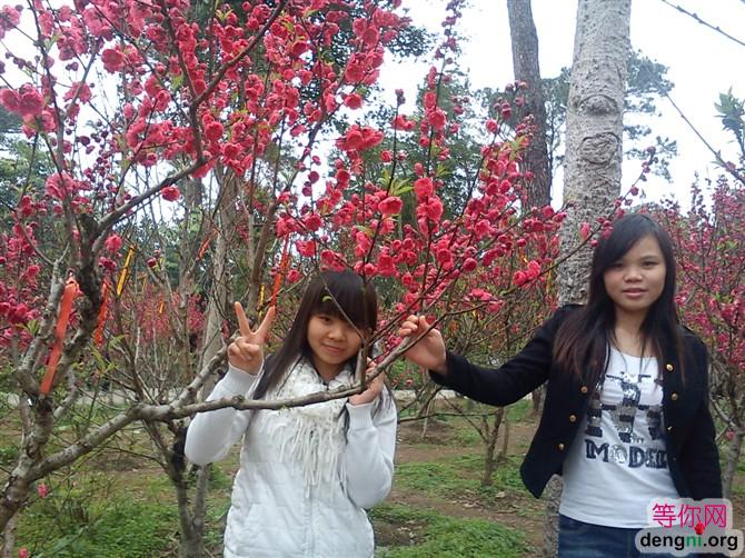 ֻ�����ио�