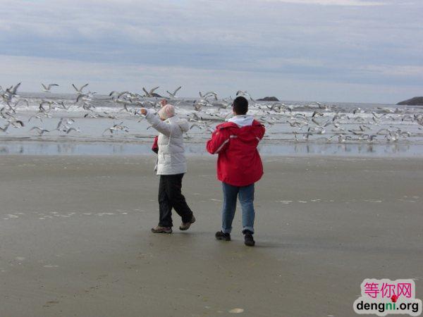 ���ô�ά�����Ǻ�̲