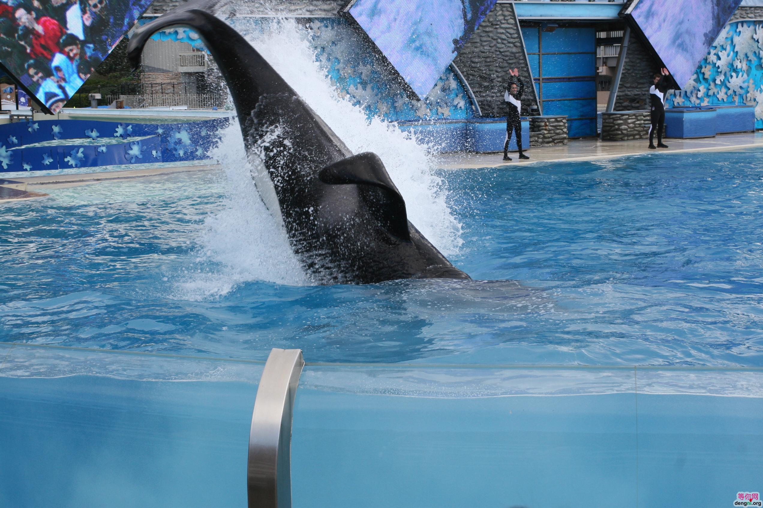 ����ʥ���Ǹ纣��԰