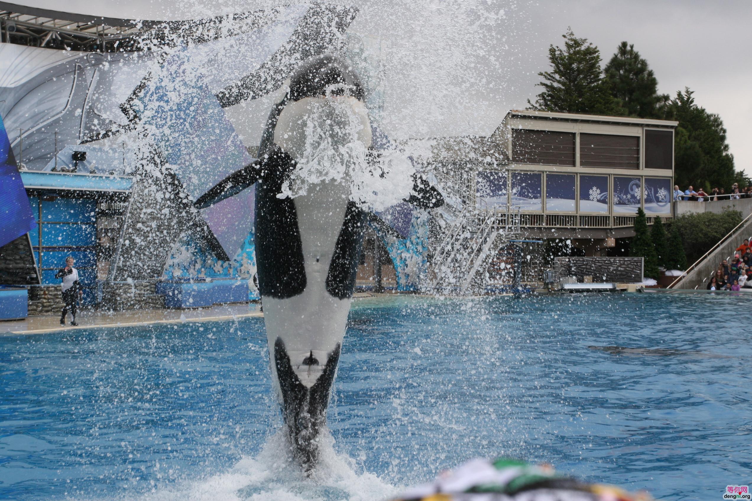 ����ʥ���Ǹ纣��԰