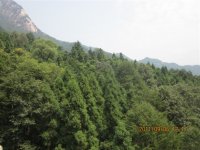 ��ɽ�� ����