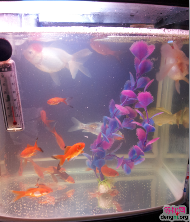 QQ��ͼ20130212165900