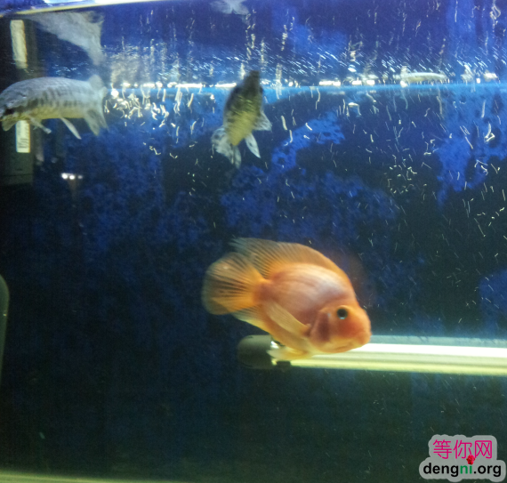 QQ��ͼ20130212170022