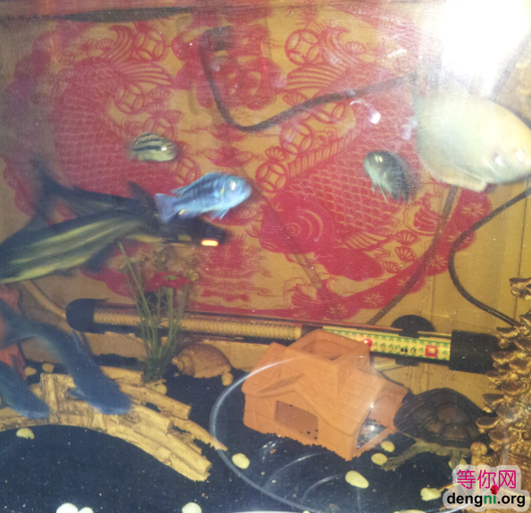 QQ��ͼ20130212170050