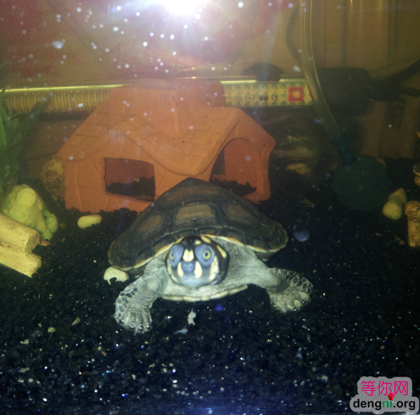 QQ��ͼ20130212170138