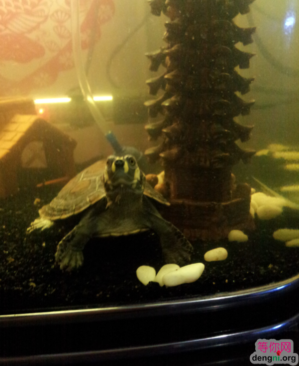 QQ��ͼ20130212170206