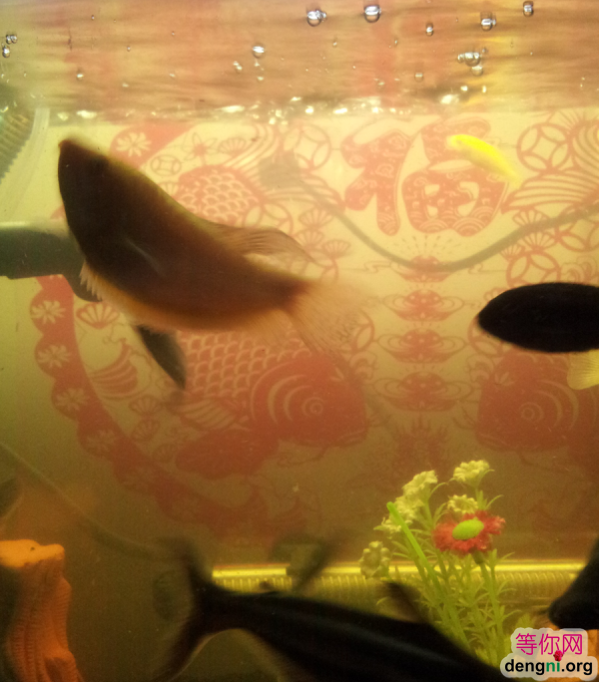 QQ��ͼ20130212170441