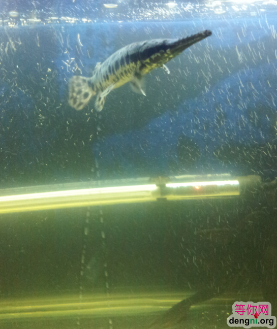 QQ��ͼ20130212170656