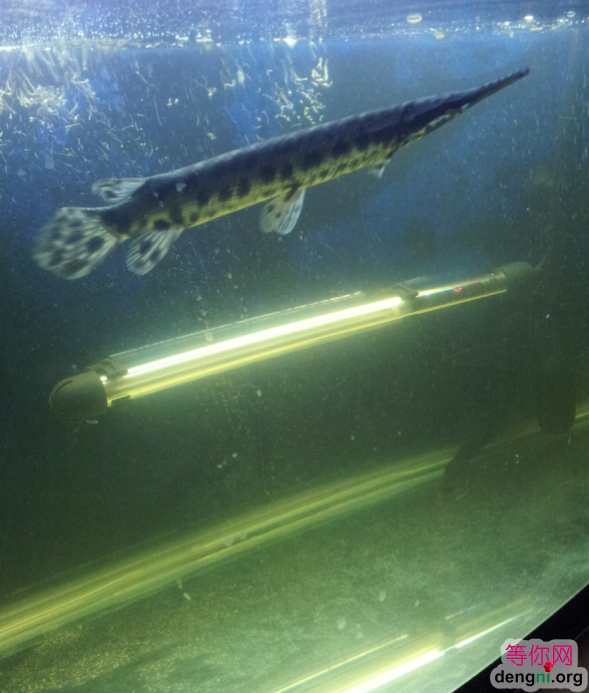 QQ��ͼ20130212170726