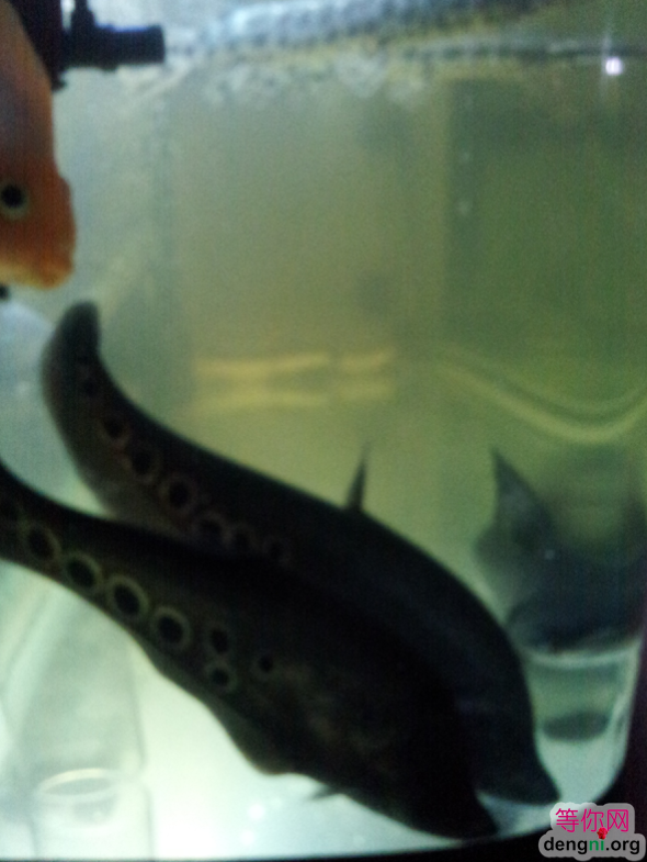 QQ��ͼ20130212170745