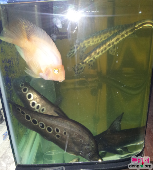 QQ��ͼ20130212170807