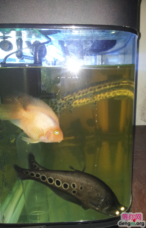 QQ��ͼ20130212170900