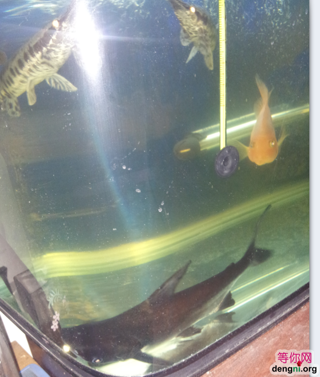 QQ��ͼ20130212170931