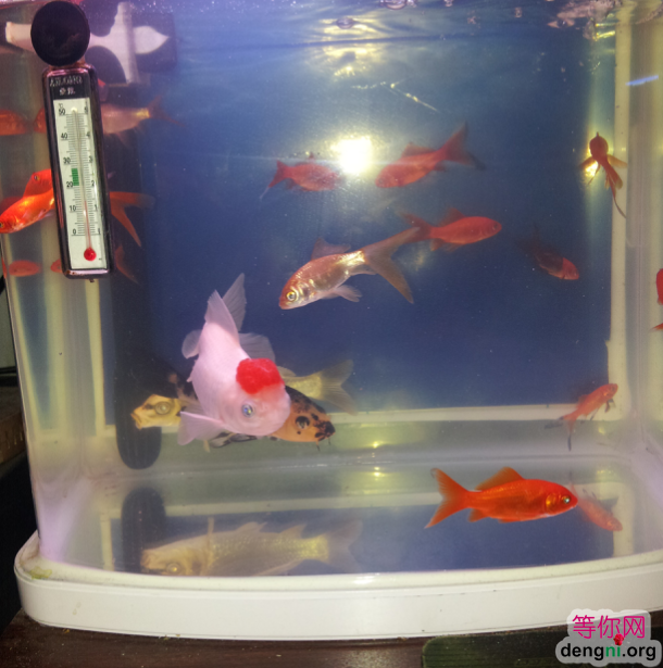 QQ��ͼ20130212171054