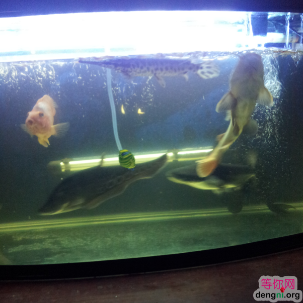 QQ��ͼ20130212171111