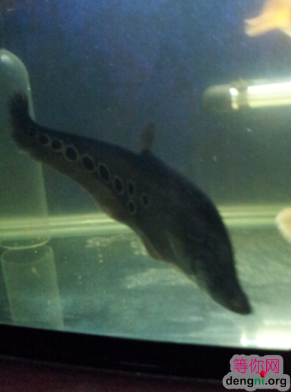 QQ��ͼ20130212171145