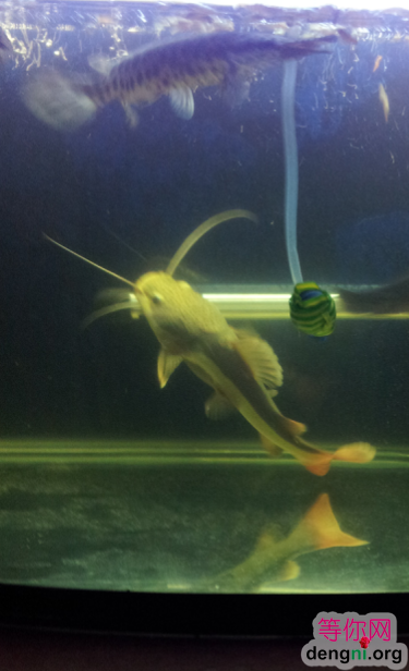 QQ��ͼ20130212171233