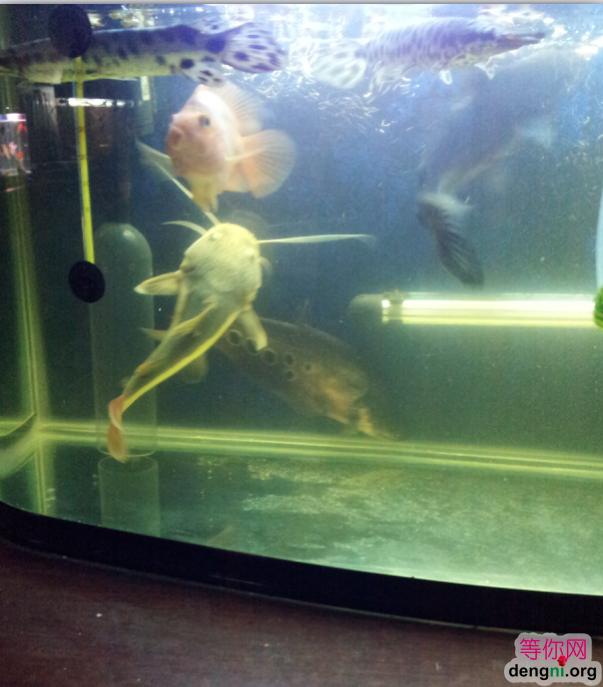 QQ��ͼ20130212171309