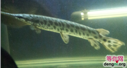 QQ��ͼ20130212171335