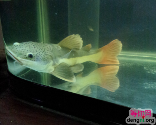 QQ��ͼ20130212171350