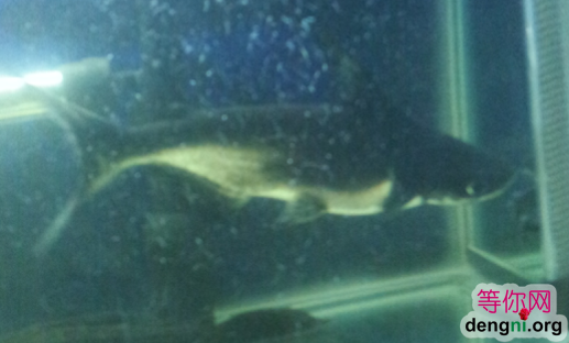 QQ��ͼ20130212171425