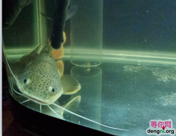 QQ��ͼ20130212171448