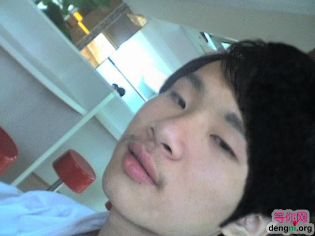 ������Ƭ