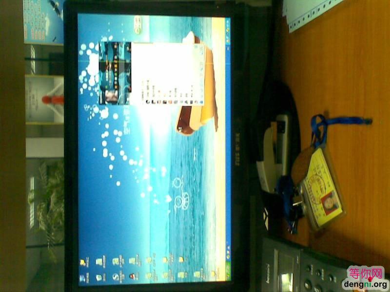 ������Ƭ