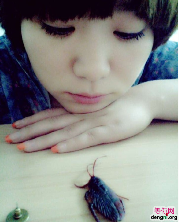 QQ��ͼ20130721193401