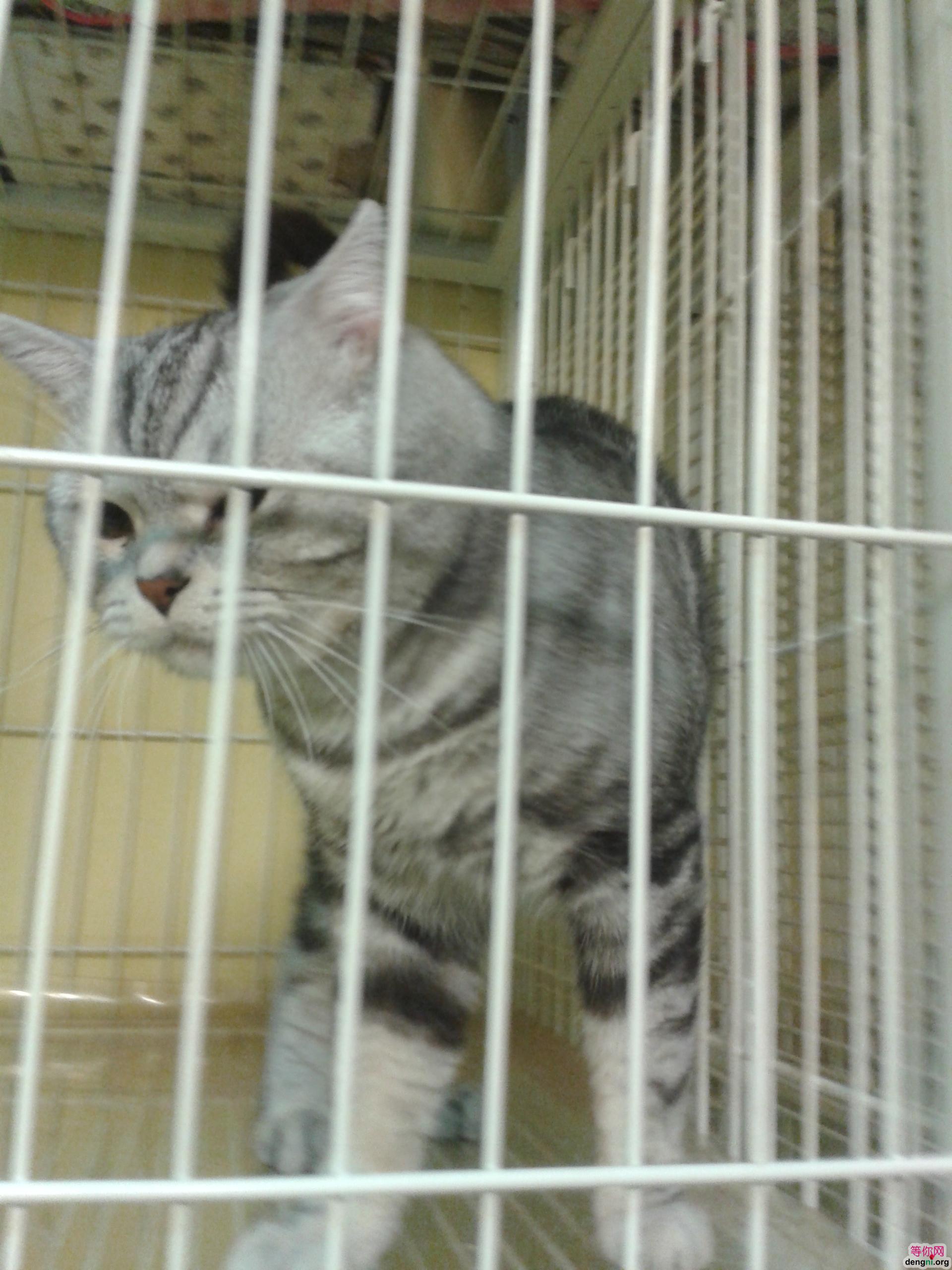 microMsg.1373529663769