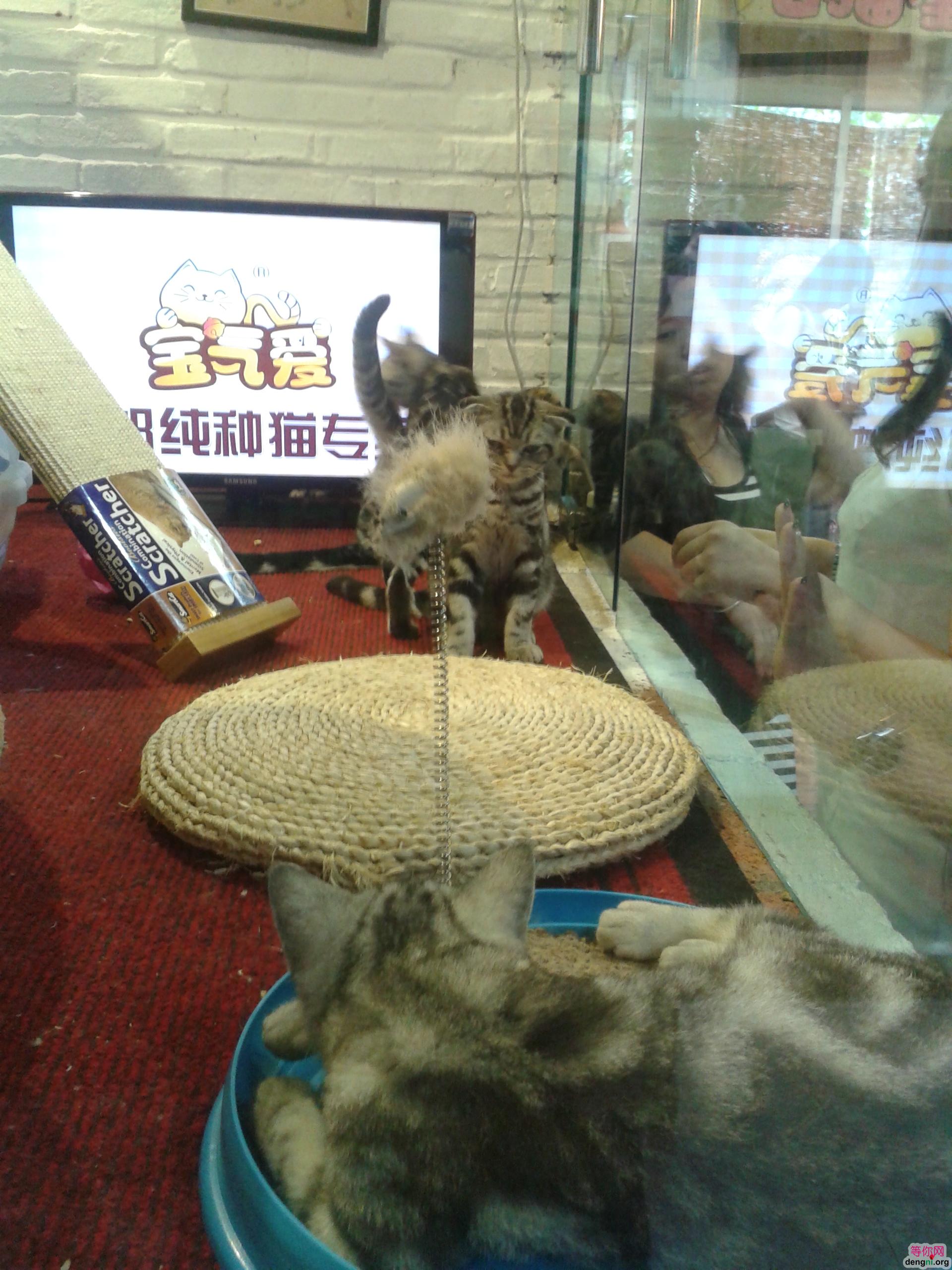 microMsg.1373529947012