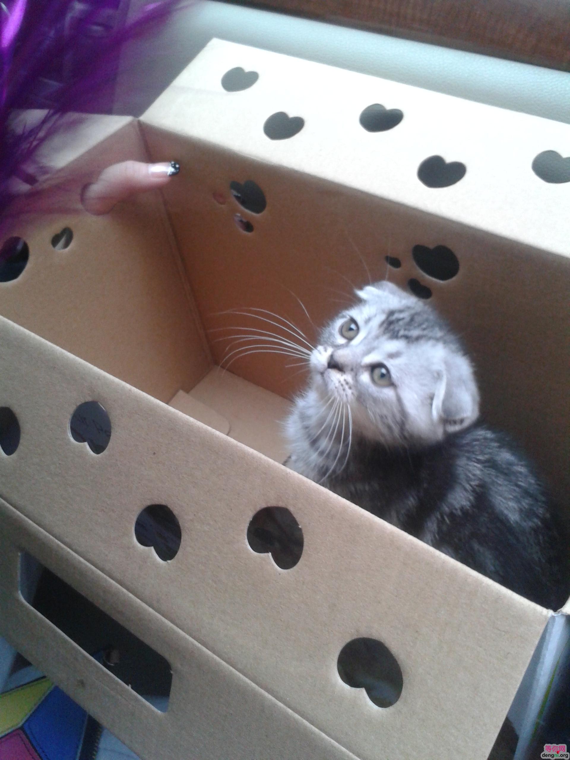 microMsg.1373539840788