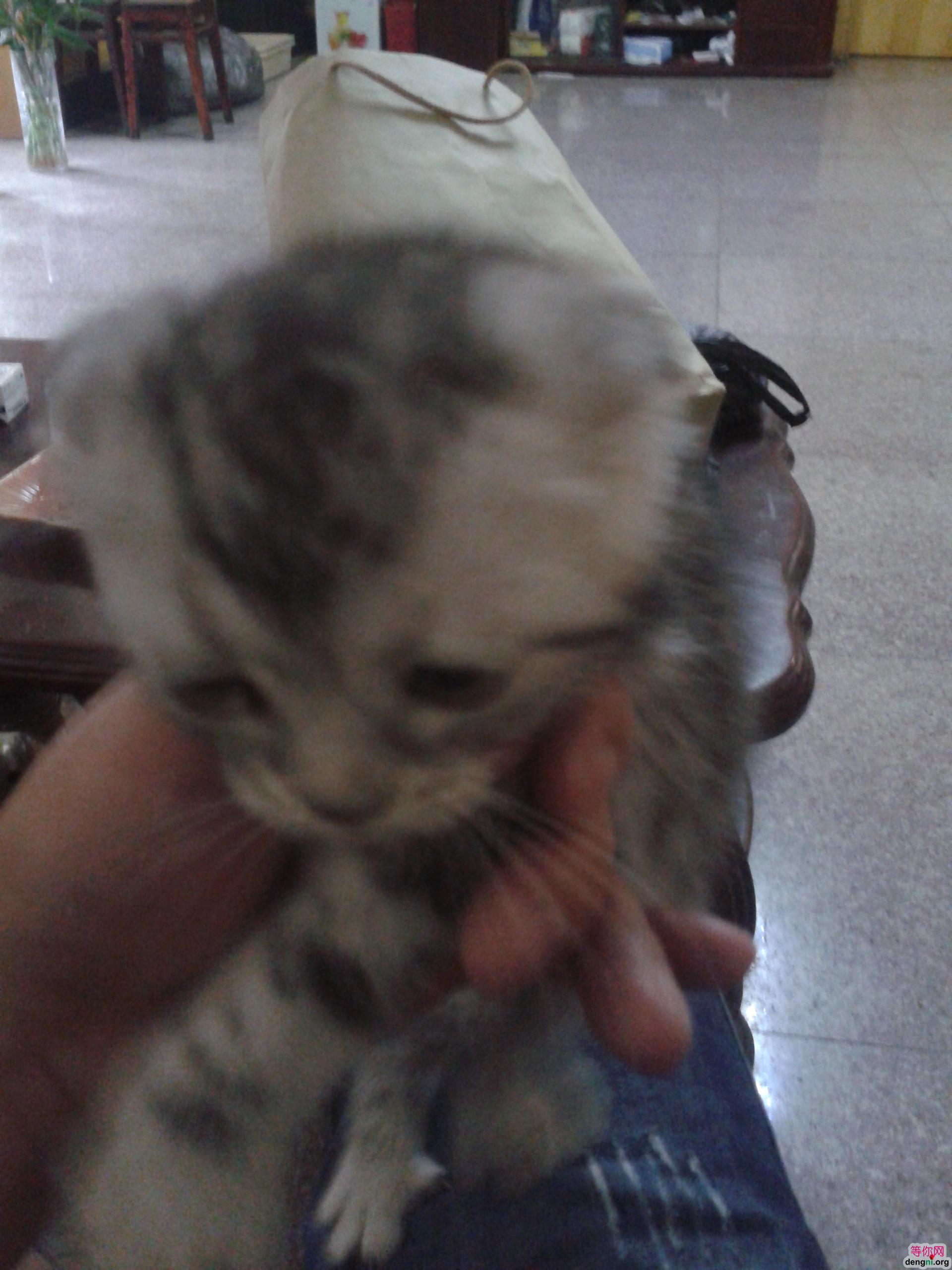 microMsg.1373600834620