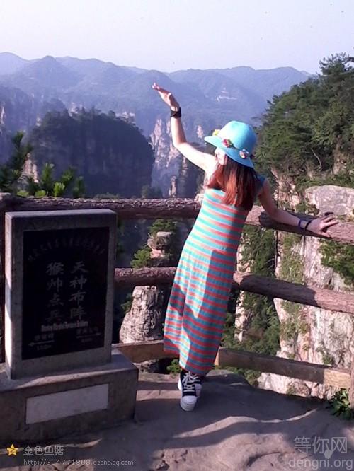 �żҽ�����